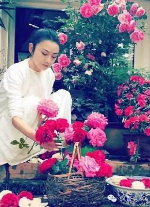 57岁杨丽萍与60岁刘晓庆，一个似神仙一个成妖孽