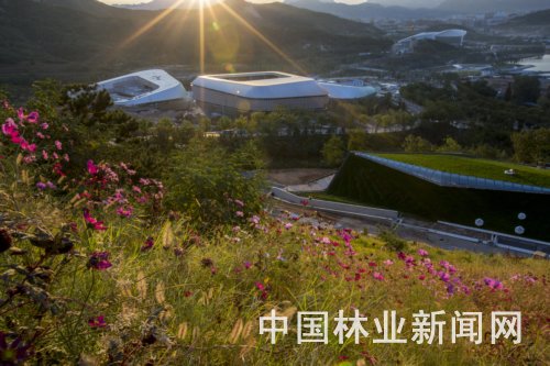 美丽中国与生态文明建设的精彩诠释