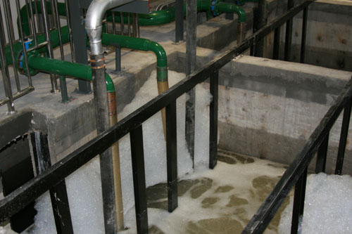 青岛世园分质水处理及资源化利用示范项目竣工