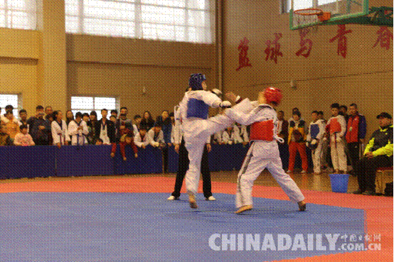 唐山迁安体校在唐山市青少年跆拳道锦标赛中创佳绩
