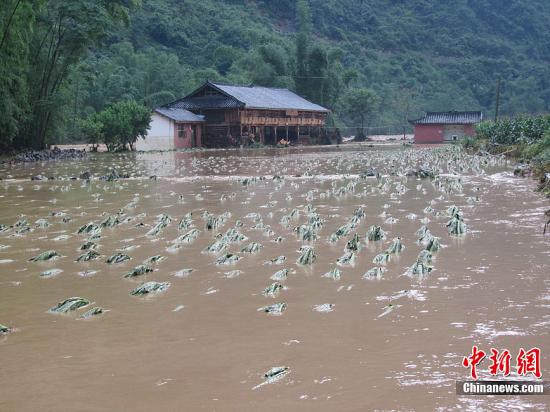 中国南方迎新一轮强降雨 各地加强部署防灾减灾