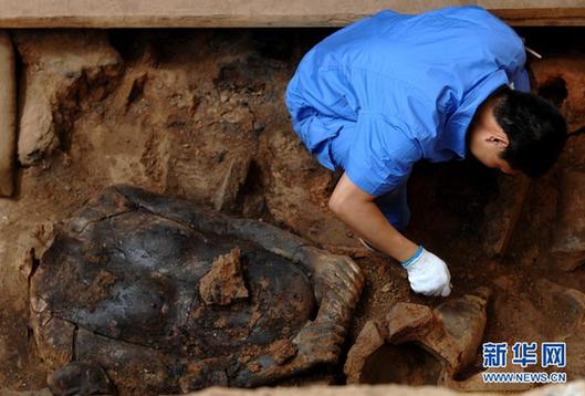 秦兵马俑坑考古最新发现 皮质漆制彩绘“秦盾”