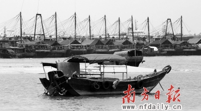 广东全省5.1万艘渔船回港避风
