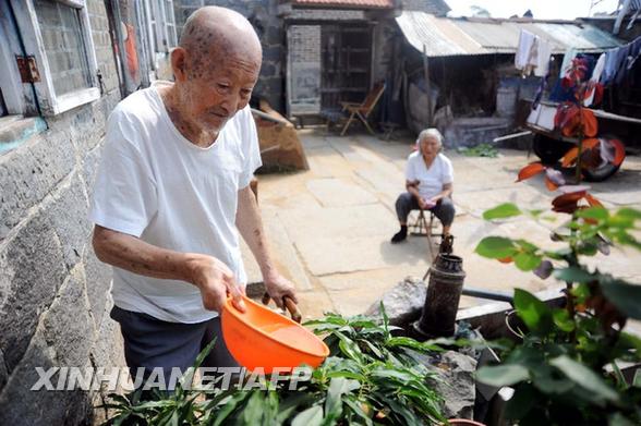 “橡树婚”夫妻携手第83个七夕节