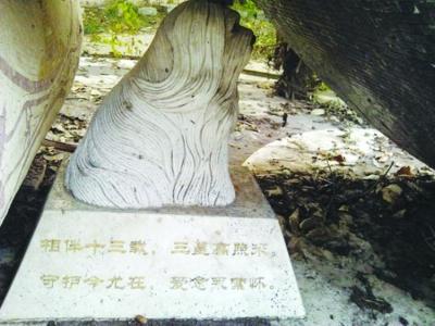 网传南京现“千万元狗墓” 官方回应：只是雕像