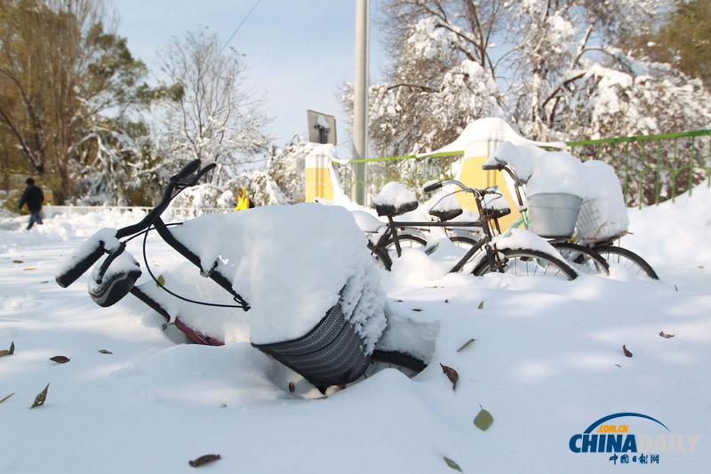 北京延庆遭遇52年来最大降雪 抗雪救灾有序进行