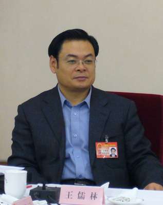 王儒林任吉林省委书记
