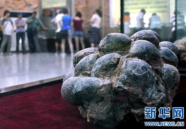 河南启动第一次全国可移动文物普查