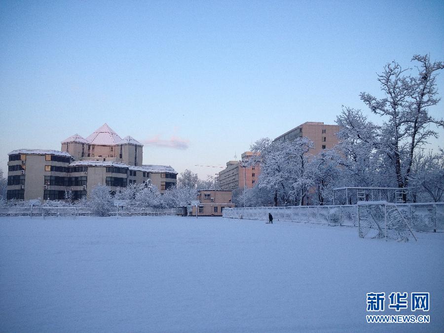 京城降雪迎春分 银装素裹如童话世界