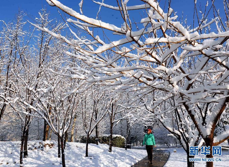 京城降雪迎春分 银装素裹如童话世界