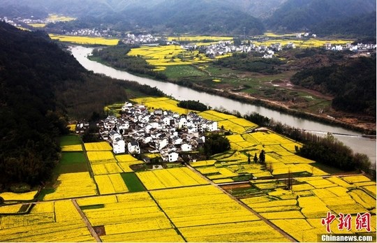 清明出游国内七大赏花地推荐