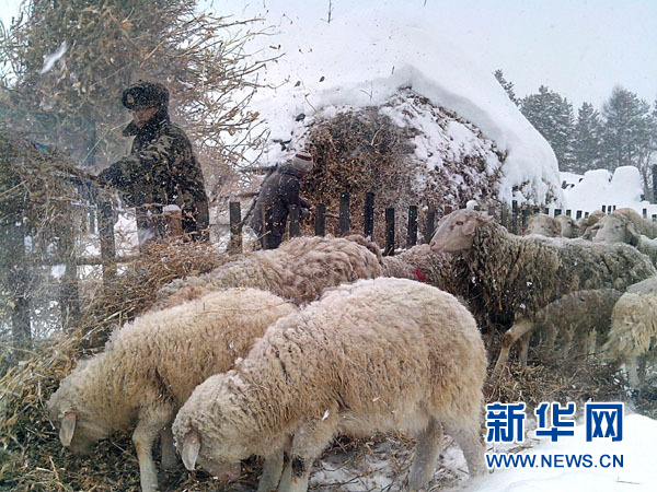 黑龙江漠河遭遇罕见暴雪 24小时内降雪量达20毫米