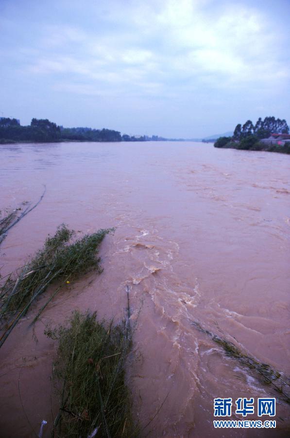 强降雨袭击广西博白10乡镇6万多人受灾