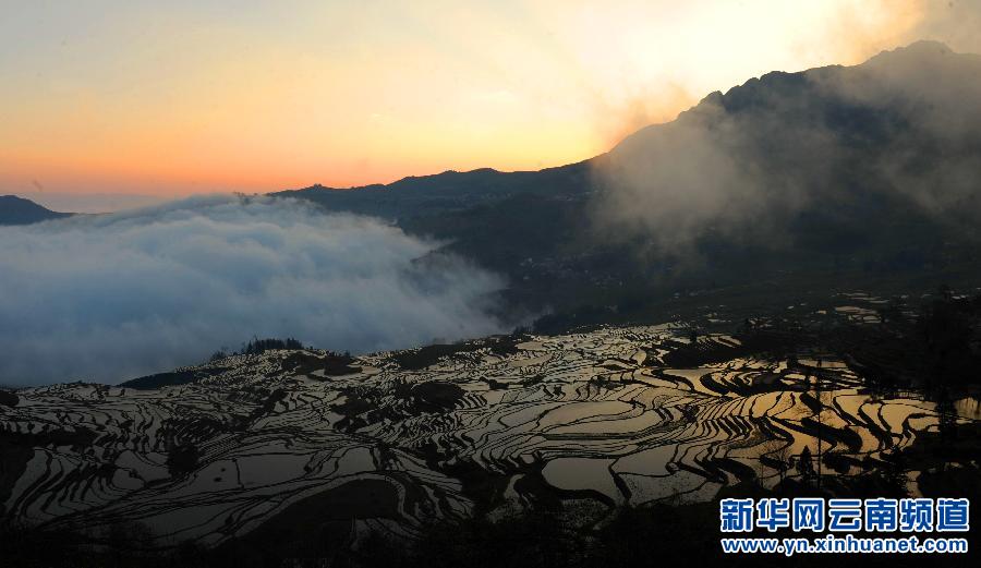 中国哈尼梯田成功列入世界遗产名录