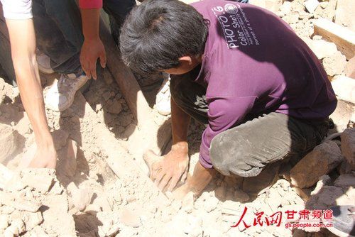 甘肃地震“狗坚强”：小黄狗被埋31小时获救