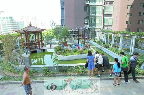 郑州现楼顶私人花园 修凉亭鱼池种菜养鹅(图)