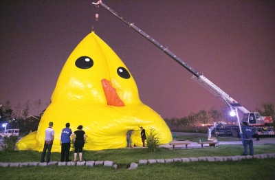 18米高大黄鸭明天园博园迎客 图片记录充气过程