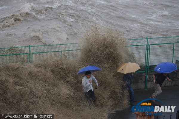 杭州:美女坝凶猛回头潮
