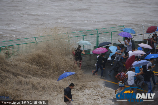 杭州:美女坝凶猛回头潮