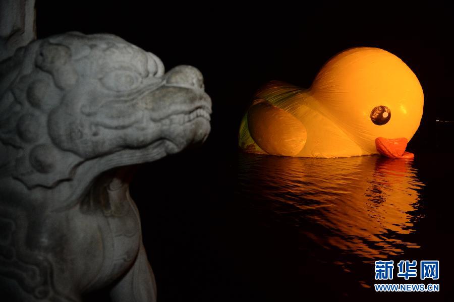大黄鸭“移居”颐和园 26日正式与游客见面