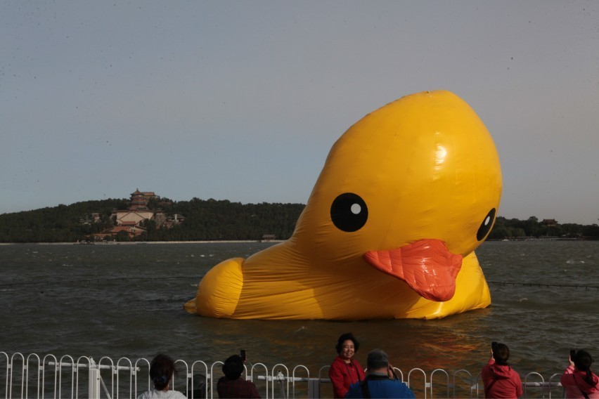北京颐和园大黄鸭今日放气：呈饼状在湖面漂浮