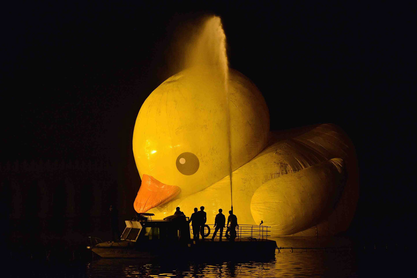 高清：大黄鸭昆明湖里“冲个澡”继续在颐和园展出