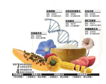 如果吃东西影响基因 人早长出牛角
