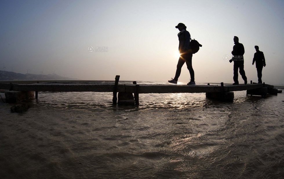 中国最大淡水湖提前枯水变成花海草原