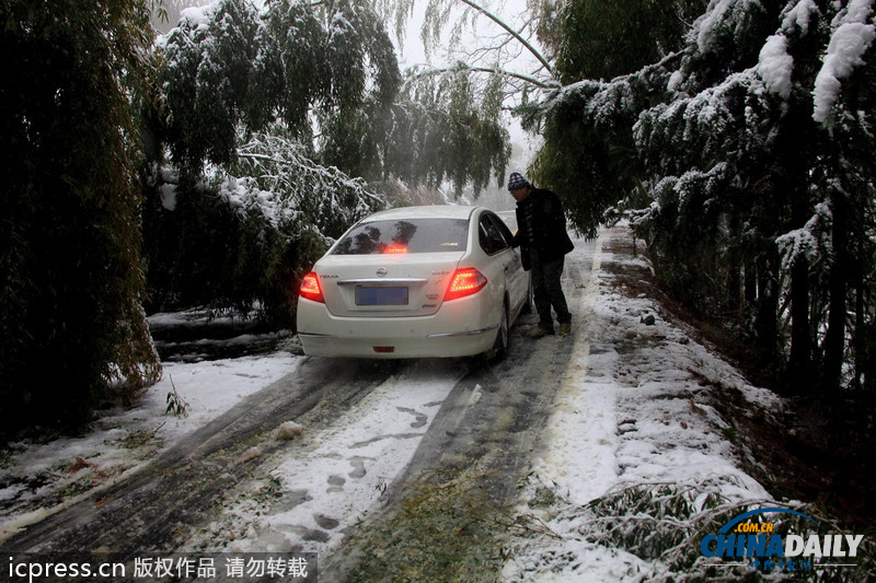 黄山暴雪 最大积雪深度超56厘米