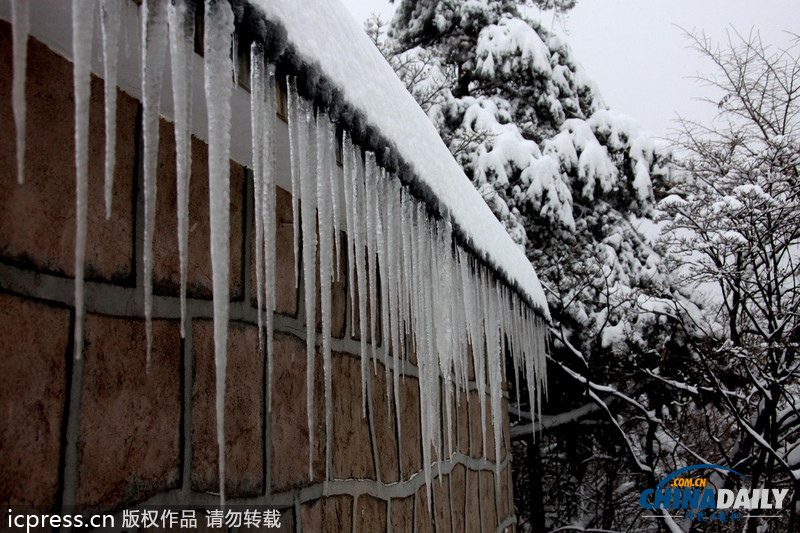 黄山暴雪 最大积雪深度超56厘米