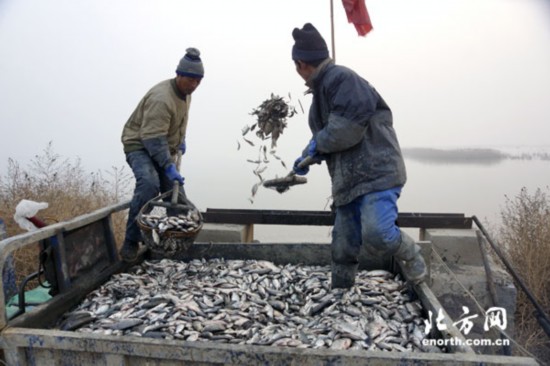 追梦人生：最美滨海湿地守护者王建民