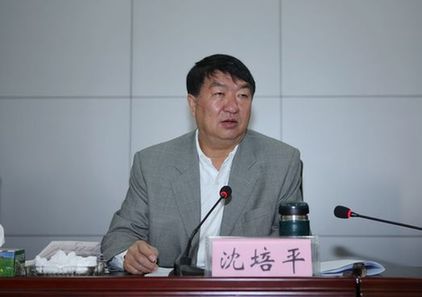 云南原副省长沈培平的学历之谜：博士到教授仅花5个月