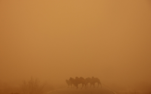 甘肃省瓜州县遭遇强沙尘暴 全县红色预警紧急动员