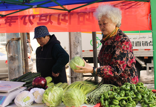 乌鲁木齐市青年路街道：春寒送到最温暖的“蔬菜”