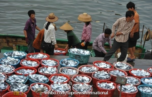 中国渔船南沙遭拦截 11名渔民失联