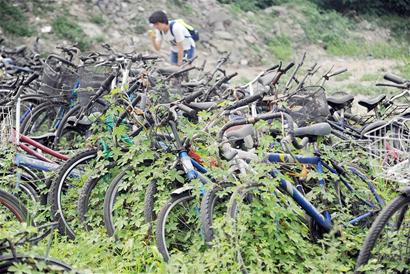 川大校园现“自行车墓地” 3000辆自行车被遗弃