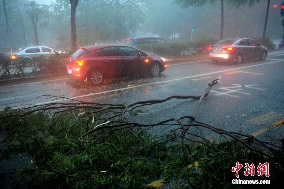 深圳再遭暴雨袭城 全市进入紧急防御状态