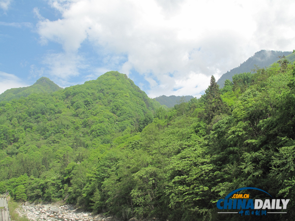 广元青川：着力打造生态乡村旅游新高地