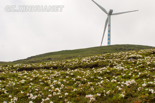 探访贵州最大的风力发电场