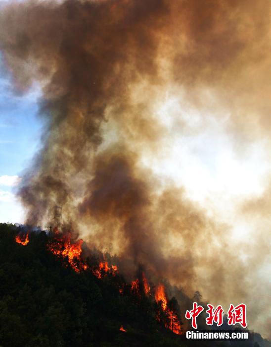 四川攀枝花发生森林火灾 火势直逼机场公路