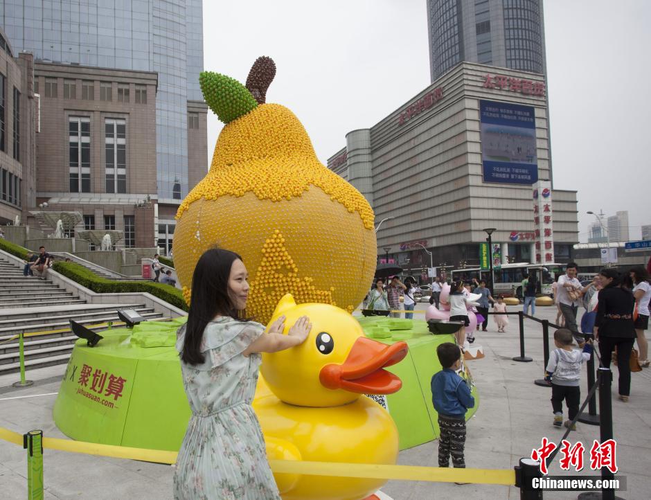 上海展出万只小黄鸭 未过端午“阵亡”近半