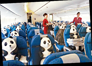 1600只“纸熊猫”陆续运抵港展出