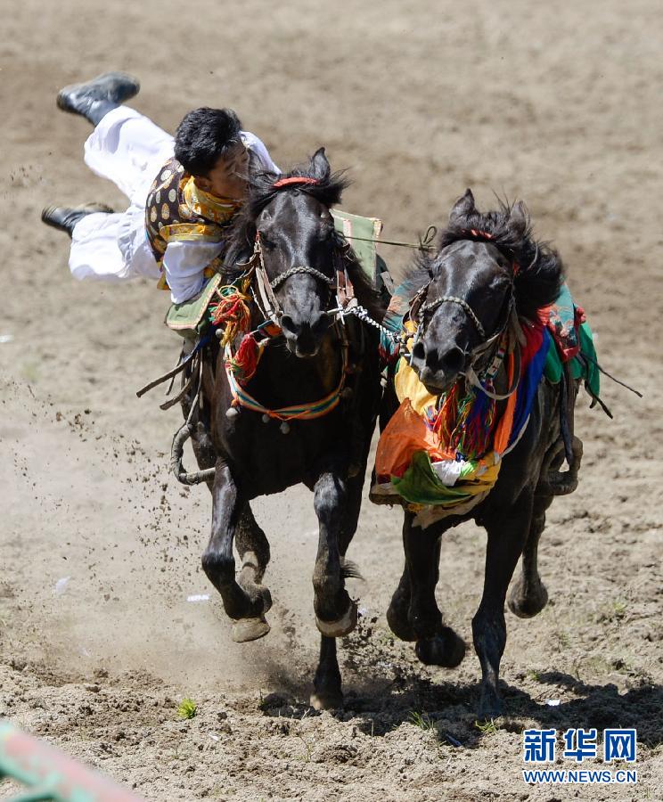 马背上的“芭蕾”：首届民族传统马术赛举行
