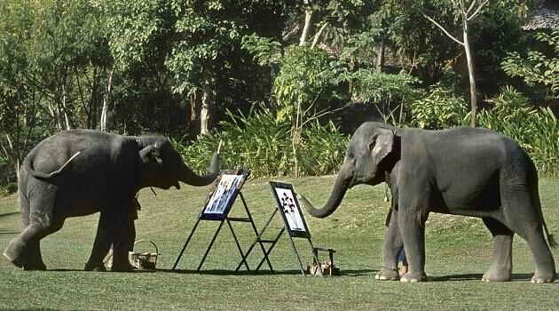 泰国“大象艺术家”作画 曾拜中国师父