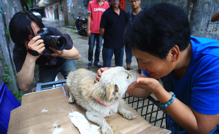 玉林狗肉节志愿者抢买活狗 狗笼前放大悲咒