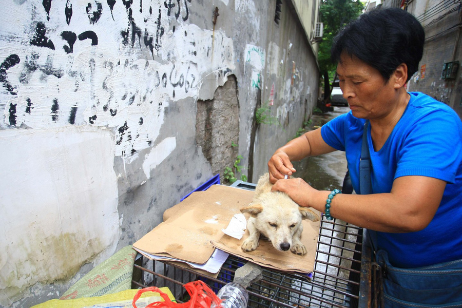 玉林狗肉节志愿者抢买活狗 狗笼前放大悲咒