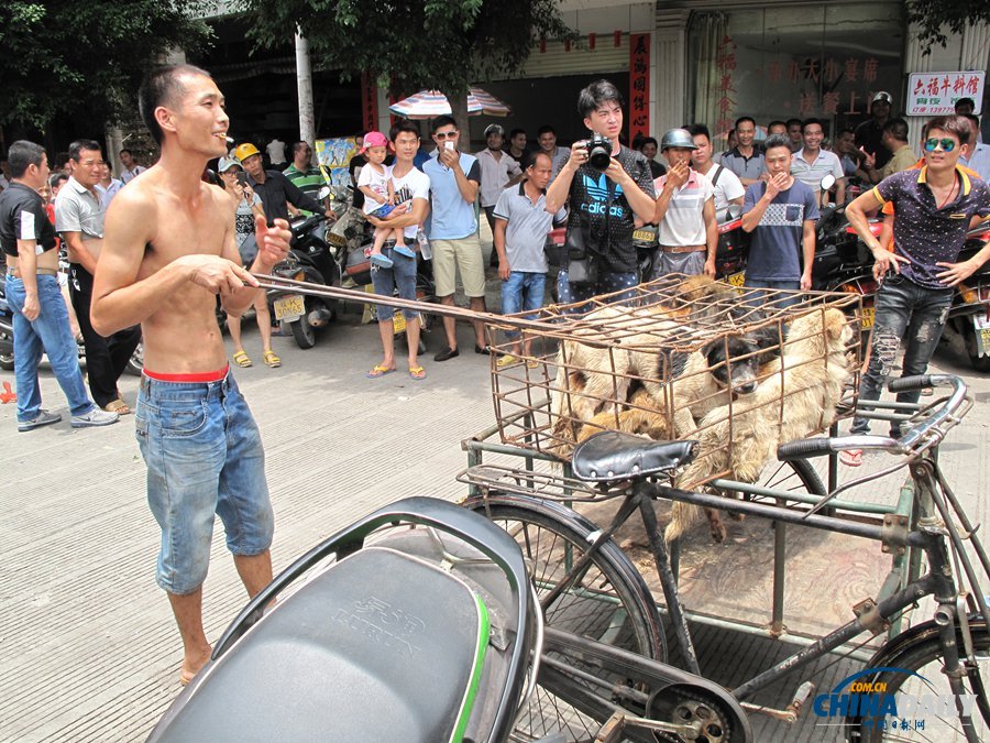 广西玉林“狗肉节”爱狗人士当街落泪 被当地群众围观嘲笑