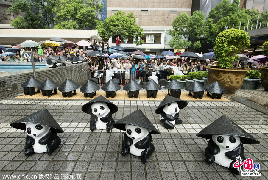 1600纸熊猫香港