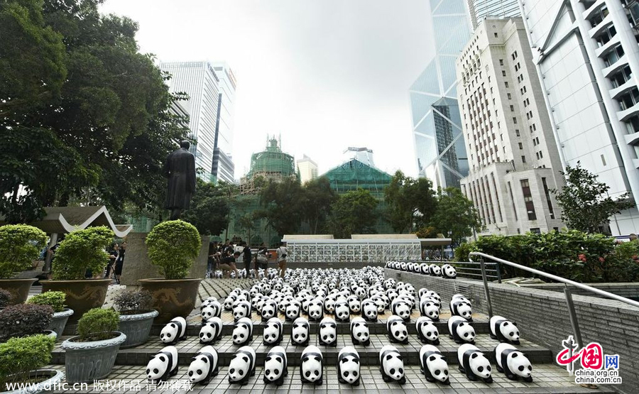 1600纸熊猫香港