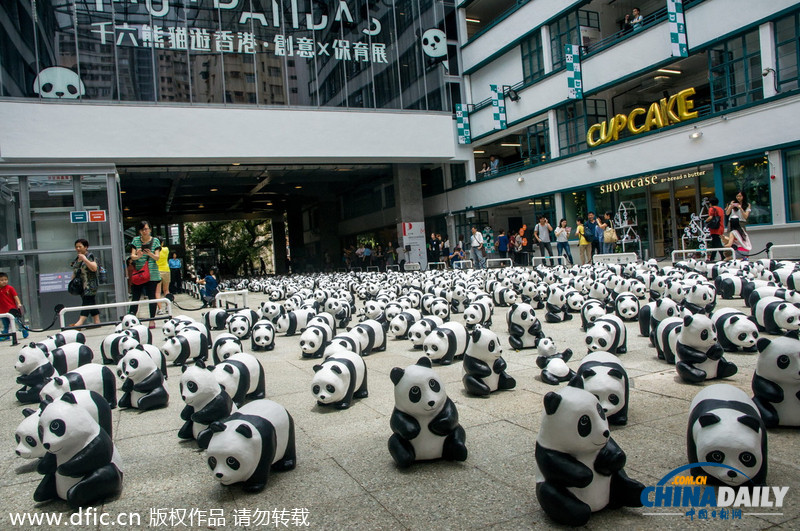 1600纸熊猫完成香港巡游汇聚PMQ 特别版熊猫带baby亮相萌翻观众
